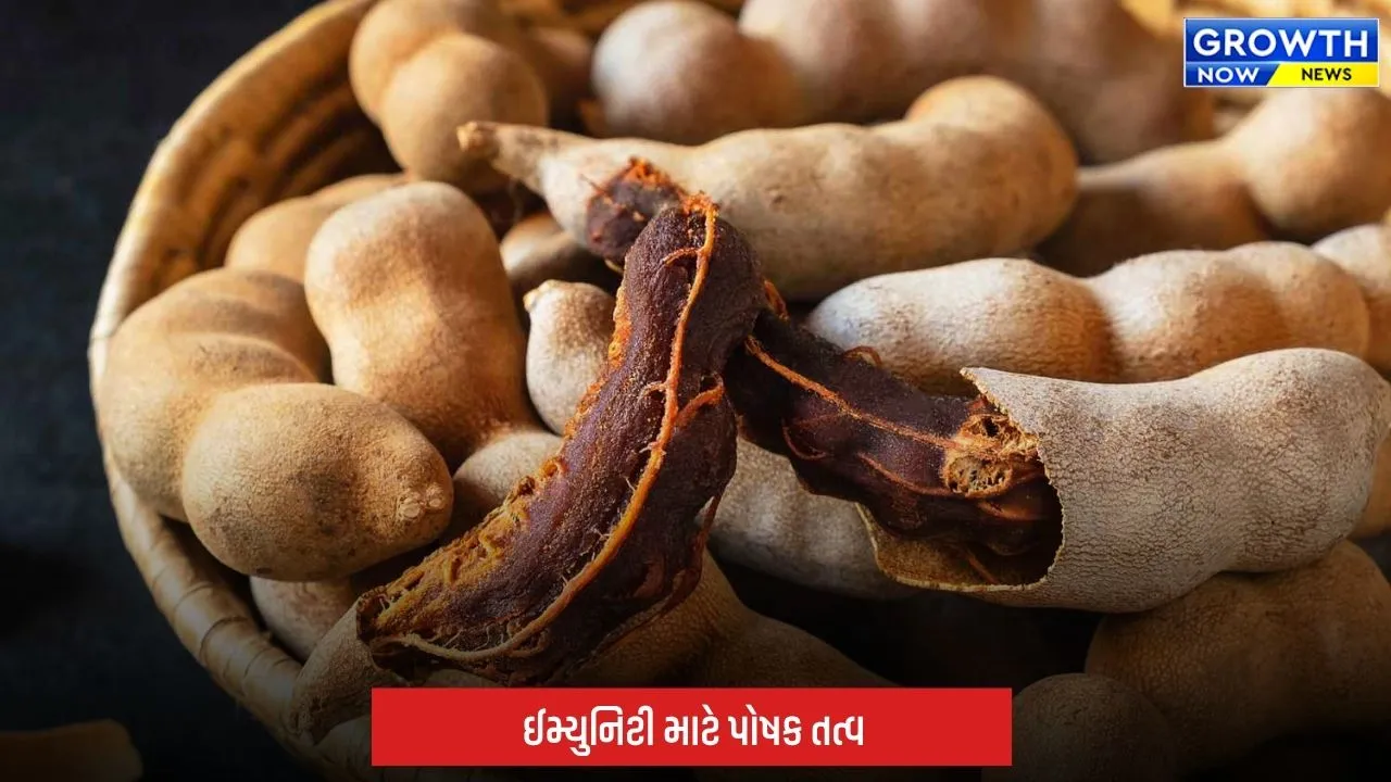Health Tips: સ્વાદ જ નહીં, સ્વાસ્થ્યનો ખજાનો પણ છે આમલી! પાચનથી ઈમ્યુનિટી સુધી જાણો તેના ફાયદા