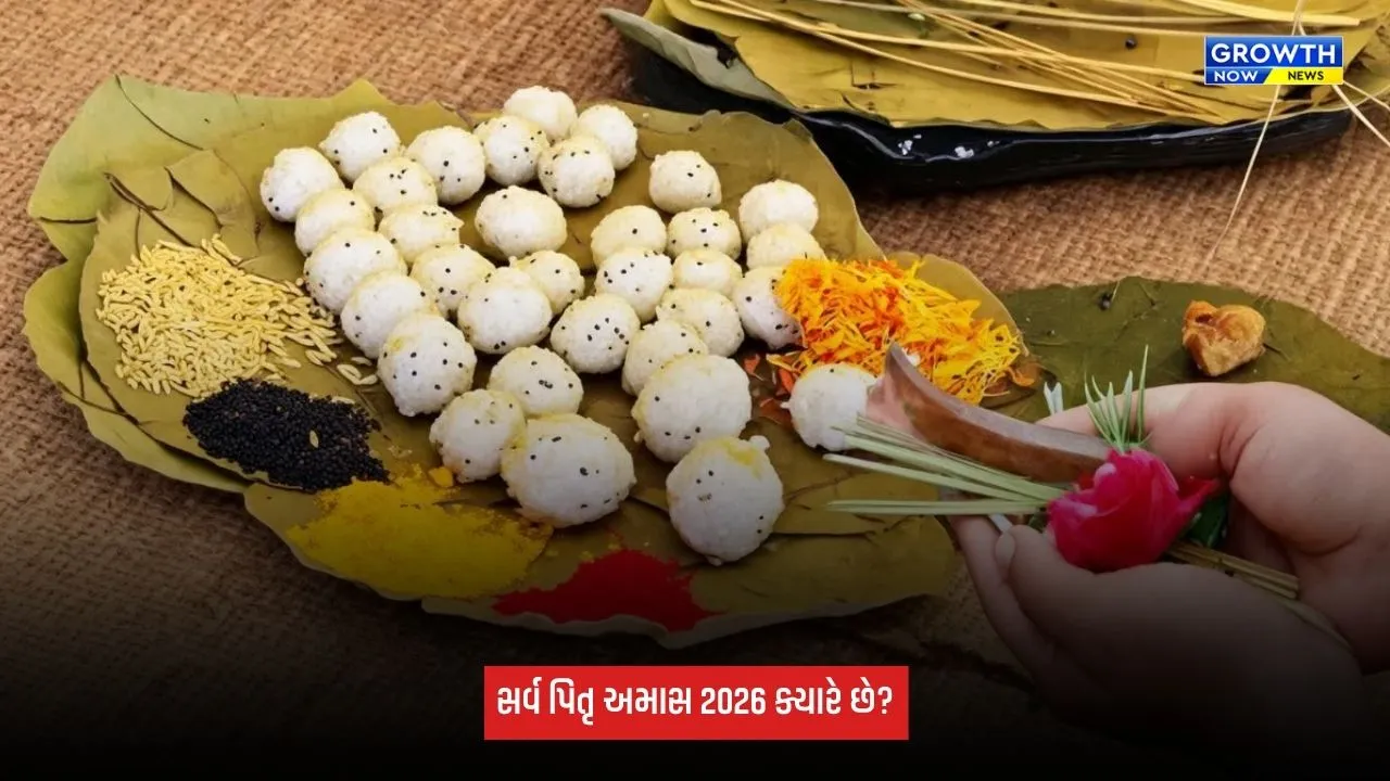 Sarva Pitru Amavasya: સર્વ પિતૃ અમાસના દિવસે પૂર્વજોને ખુશ કરવાના ઉપાયો, જાણો