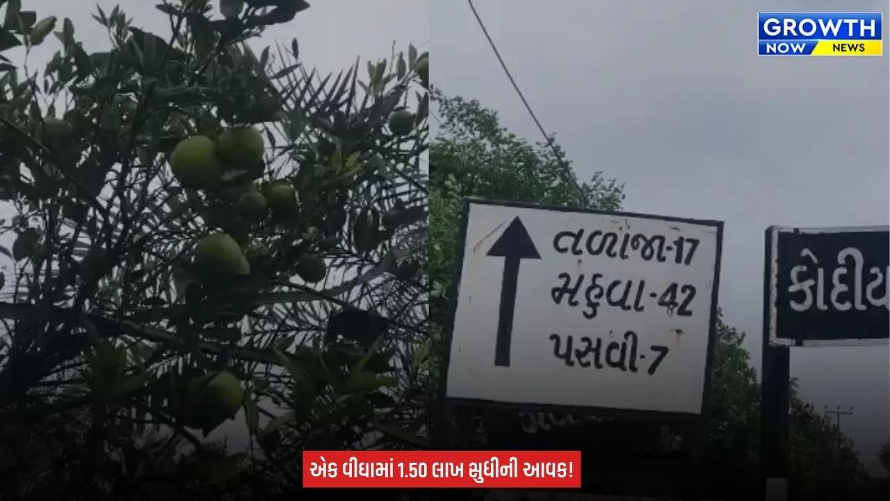 Agriculture News : ઓછો ખર્ચ, ઓછી માવજત અને લાખોની આવક! મોસંબીની ખેતી બની ખેડૂતોની પહેલી પસંદ