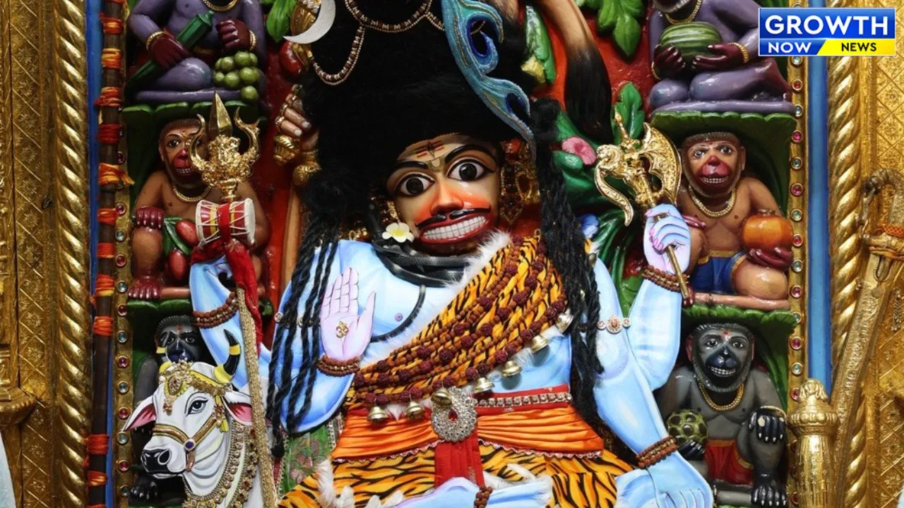 Gallery Image 6