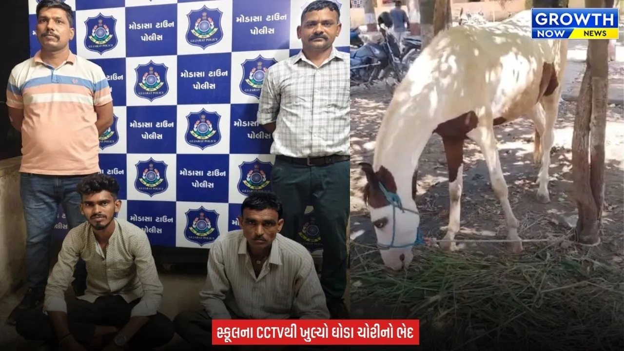 Arvalli News : મોડાસામાં ₹4.10 લાખના બે ઘોડાની ચોરીનો ભેદ ઉકેલાયો, પિતા-પુત્રને પોલીસે ઝડપી પાડયા