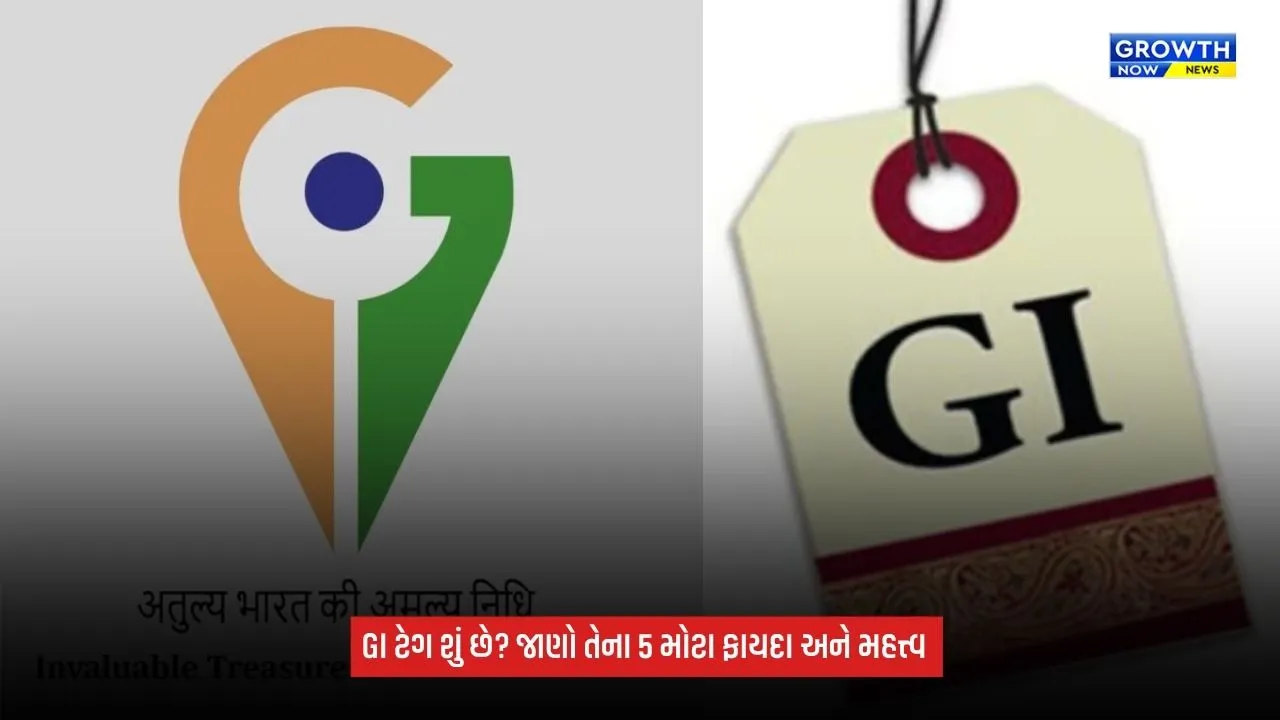 GI Tag એટલે શું? વસ્તુઓને કેમ આપવામાં આવે છે, જાણો તેના ફાયદા અને મહત્ત્વ