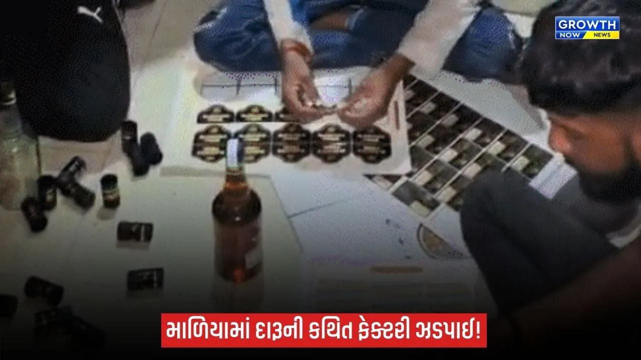 મોરબી LCBની મોટી કાર્યવાહીઃ માળિયામાં દારૂ બનાવતી ફેક્ટરી ઝડપાઈ!