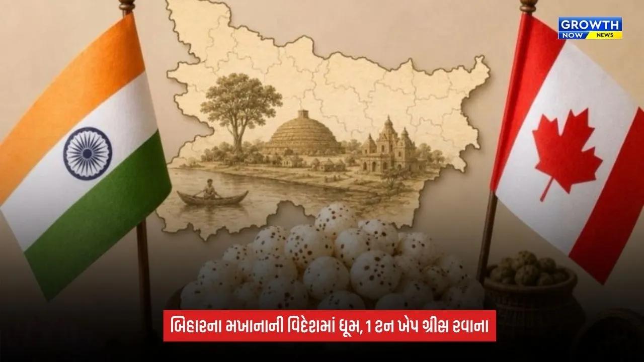 Bihar Makhanaને મળ્યું આંતરરાષ્ટ્રીય બજાર, APEDAની મદદથી ગ્રીસ મોકલાઈ 1 મેટ્રિક ટન મખાનાની ખેપ