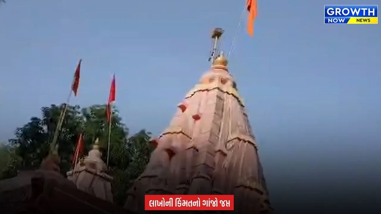 Arvalli News : માલપુરના શૂલપાણેશ્વર મંદિરમાં પોલીસની રેડ, ગાંજાના છોડ અને સૂકો ગાંજો મળ્યો