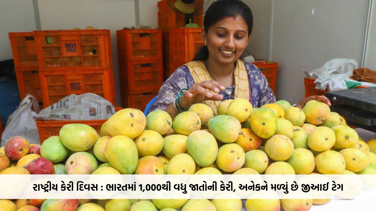 રાષ્ટ્રીય કેરી દિવસ આજે: ભારતમાં 1,000થી વધુ જાતોની કેરી, અનેકને મળ્યું છે જીઆઈ ટેગ