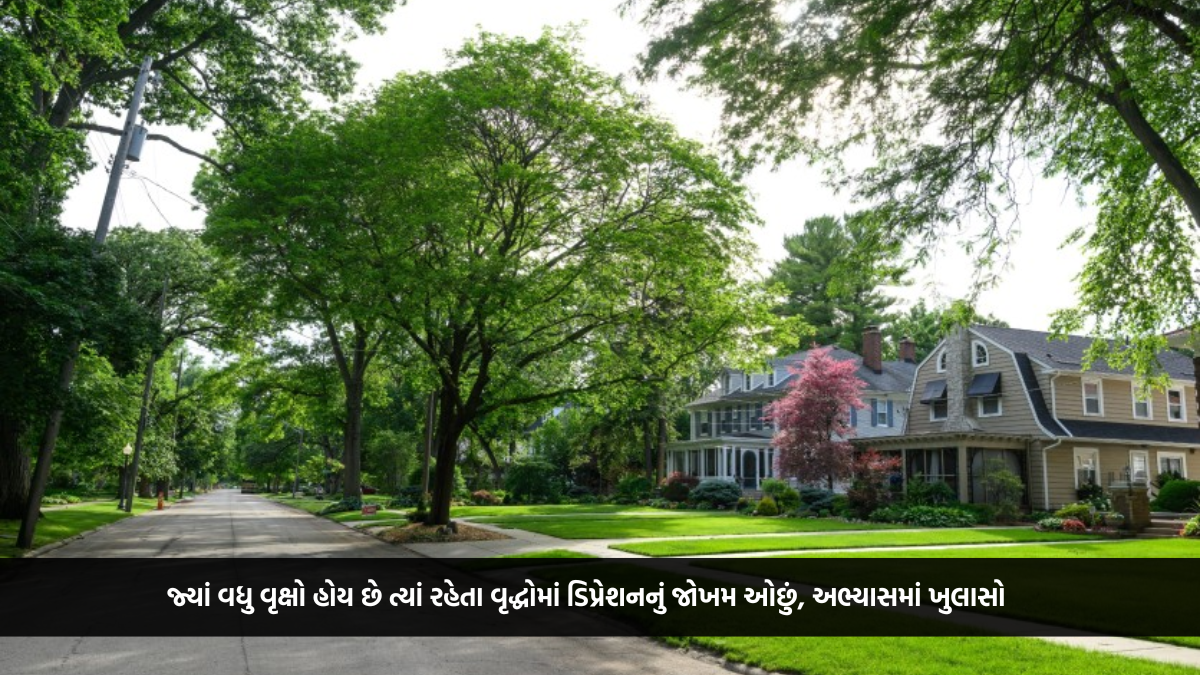 જ્યાં વધુ વૃક્ષો હોય છે ત્યાં રહેતા વૃદ્ધોમાં ડિપ્રેશનનું જોખમ ઓછું, અભ્યાસમાં ખુલાસો