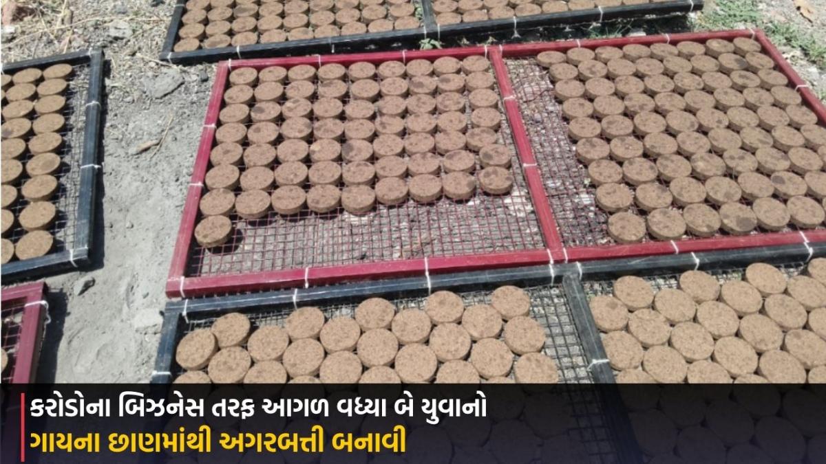Bhavnagar: ગાયના છાણમાંથી અગરબત્તી બનાવી કરોડોના બિઝનેસ તરફ આગળ વધ્યા બે યુવાનો