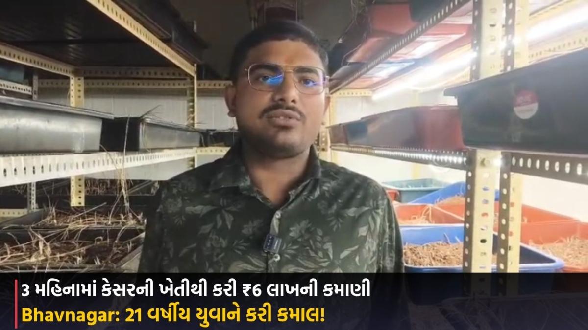 Bhavnagar: 21 વર્ષીય યુવાને કરી કમાલ! 3 મહિનામાં કેસરની ખેતીથી કરી ₹6 લાખની કમાણી