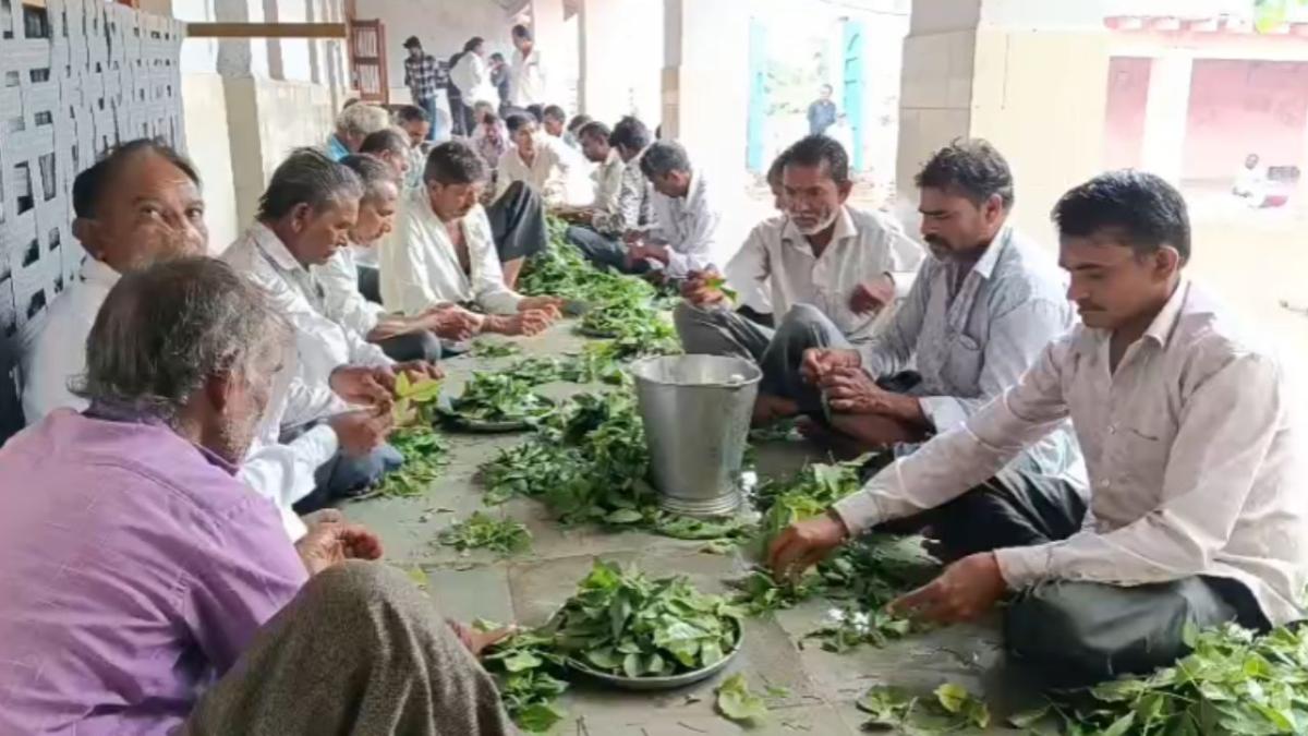 Amreli: વઢેરા ગામે સરકેશ્વર મહાદેવ મંદિરે શ્રાવણ માસની ભવ્ય ઉજવણી